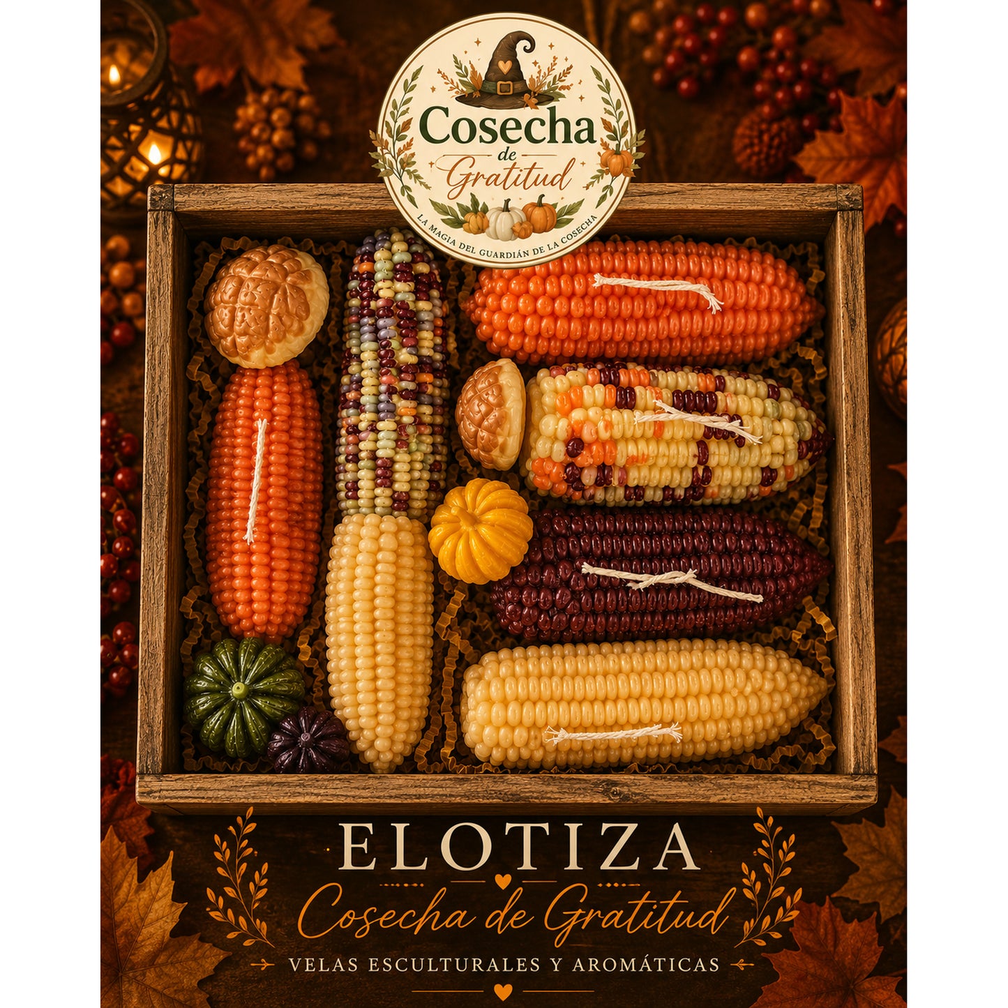 Elotisa