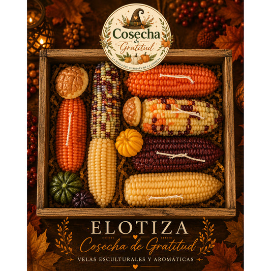 Elotiza