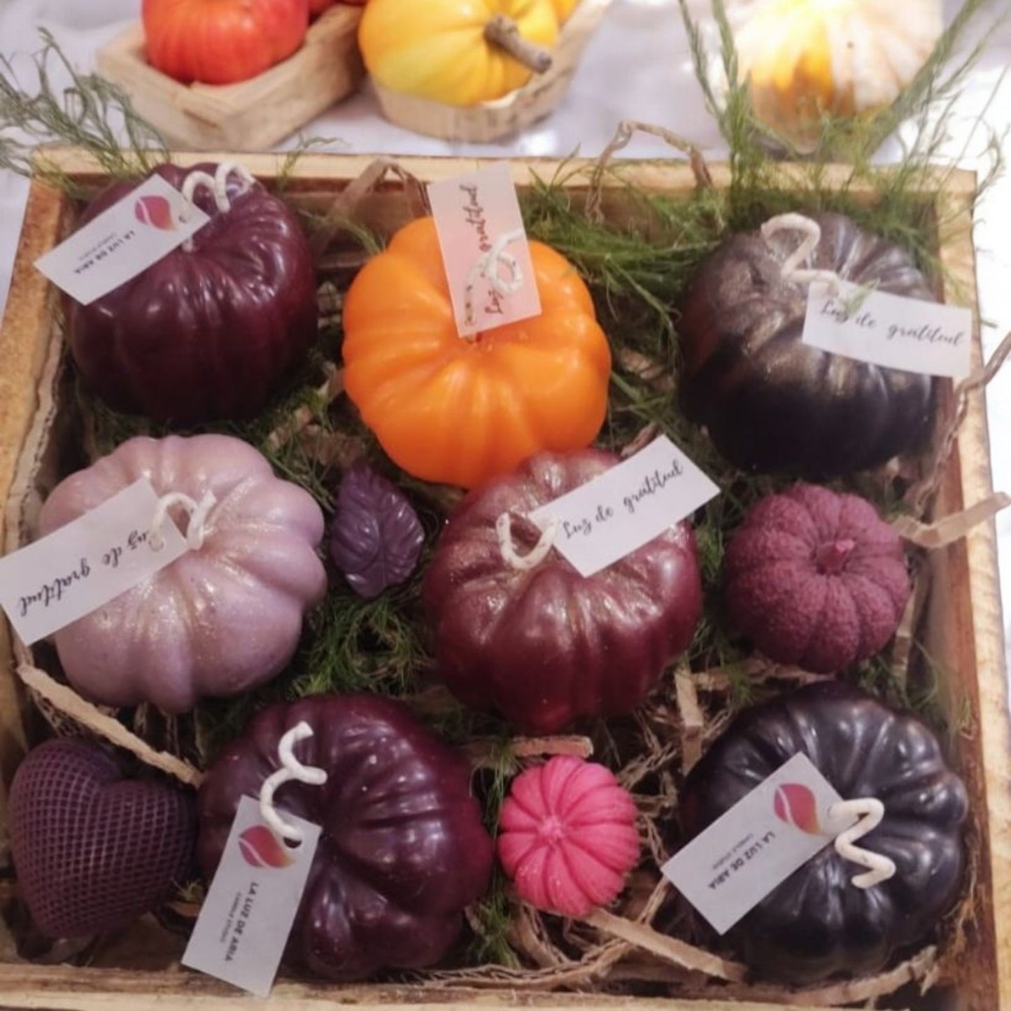 🎃 Canasta de Gratitud - Set de 6 Calabazas Pumpkin Spice 🍂