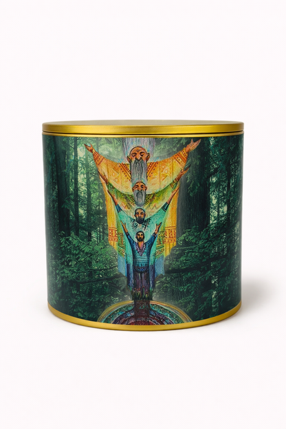 Sanando mi árbol Paterno