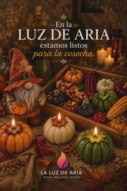 Calabaza de Gratitud   individual