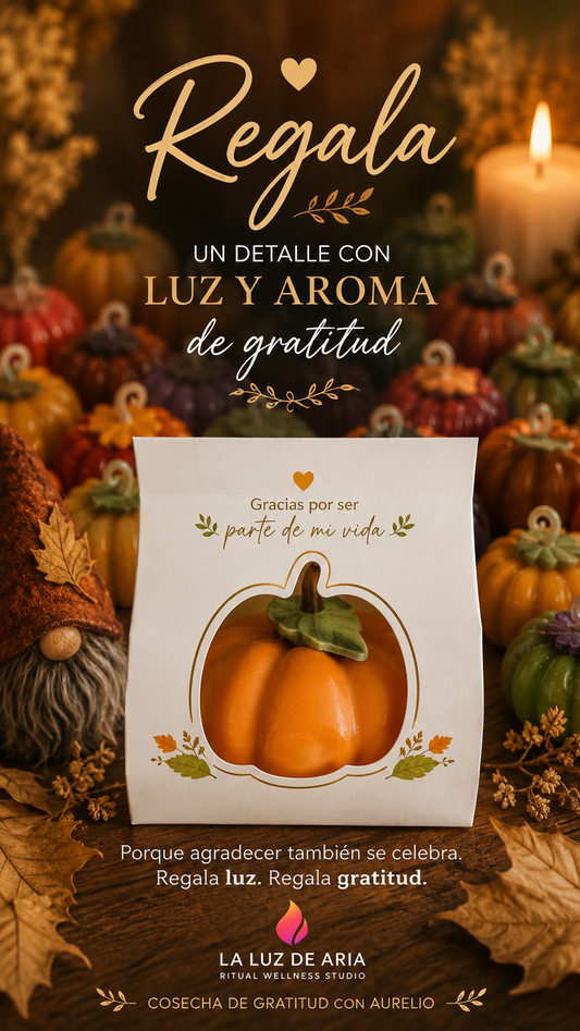 Calabaza de Gratitud   individual
