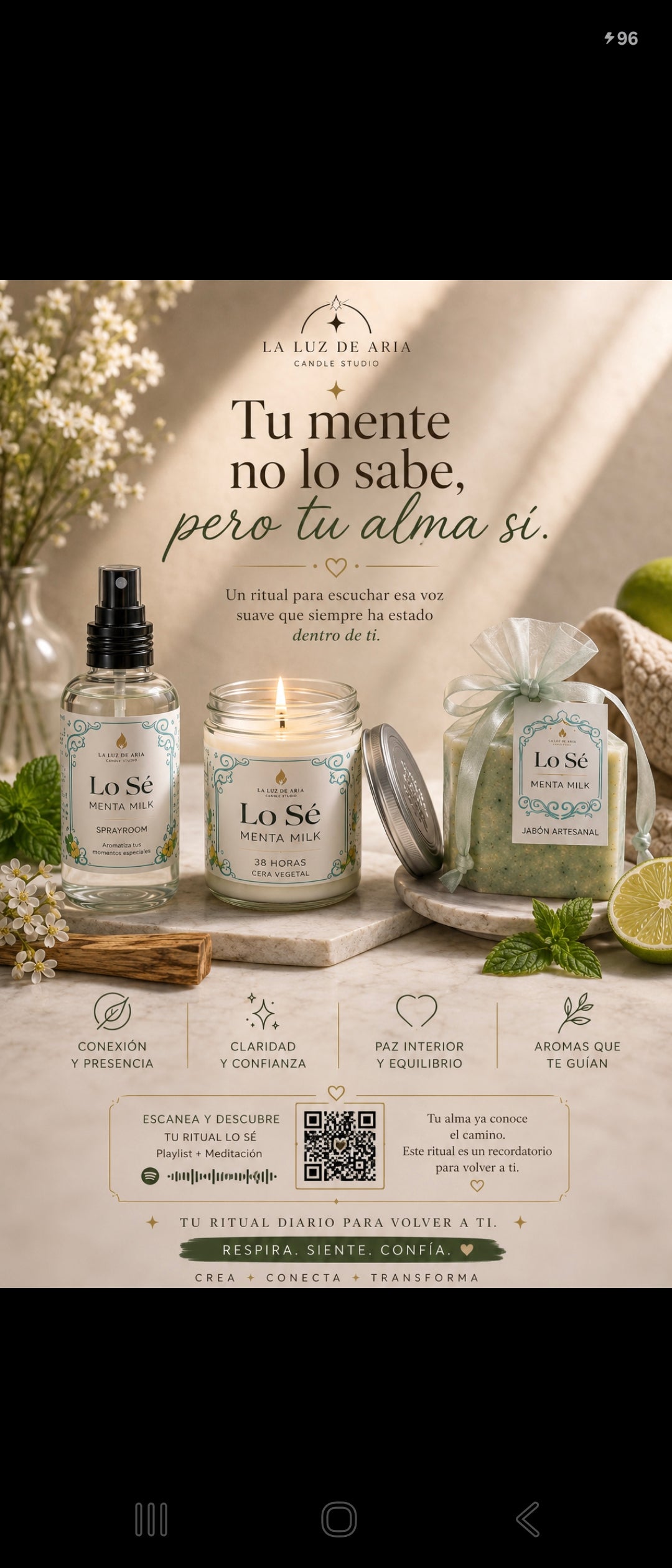 🌿 Lo Sé. Menta Milk