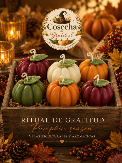Caja de ritual de cosecha